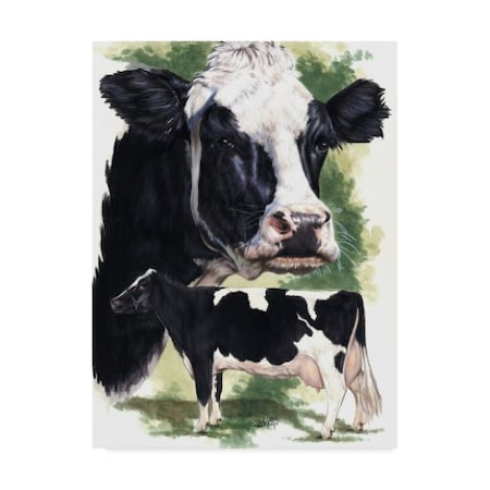 Barbara Keith 'Holstein Cow' Canvas Art,24x32
